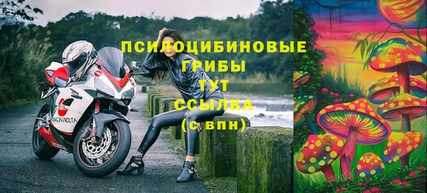 PSILOCYBIN Богородицк